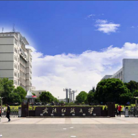 武汉纺织大学（中外合作办学）