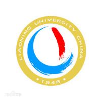 辽宁大学（中外合作专业）