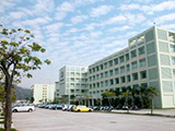 澳门大学